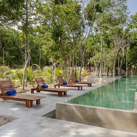 Jungle Lodge Boutique Hotel - Adults Only