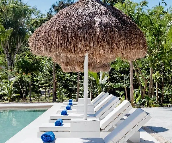 Hotel Jungle Boutique - Adults Only Chemuyil