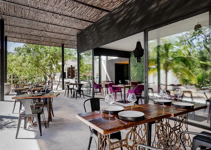 Hotel Jungle Boutique - Adults Only