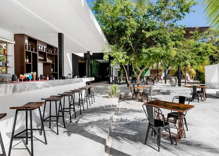 Hotel Jungle Boutique - Adults Only