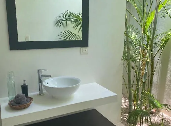 Hotel Jungle Boutique - Adults Only 5*