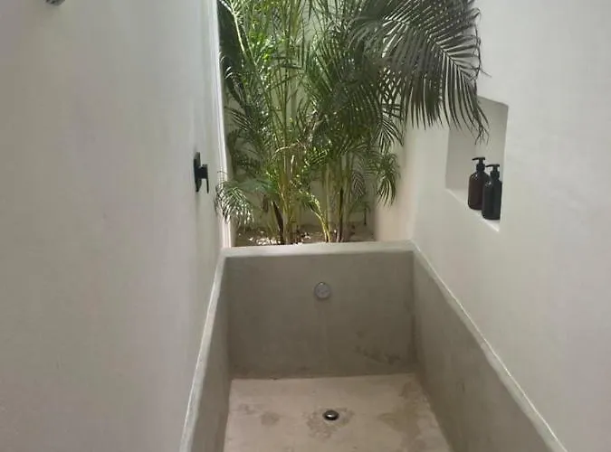Jungle Boutique - Adults Only Hotel 5*