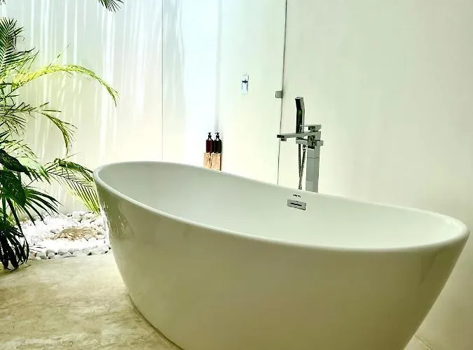 Hotel Jungle Boutique - Adults Only Chemuyil