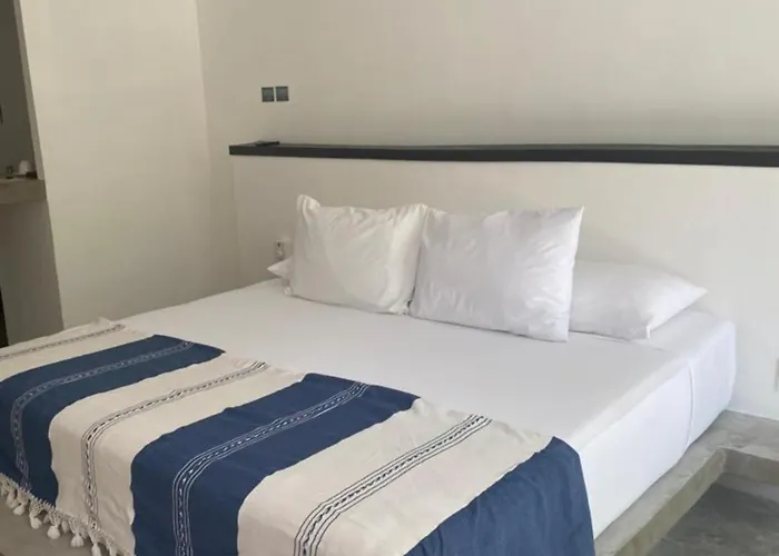 Hotel Jungle Boutique - Adults Only